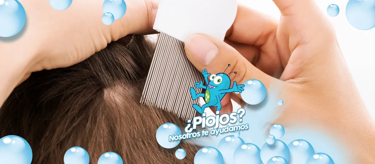 GoGo Piojo | Ciudad Juárez -Centro Tratamiento para la eliminación de Piojos y Liendres
