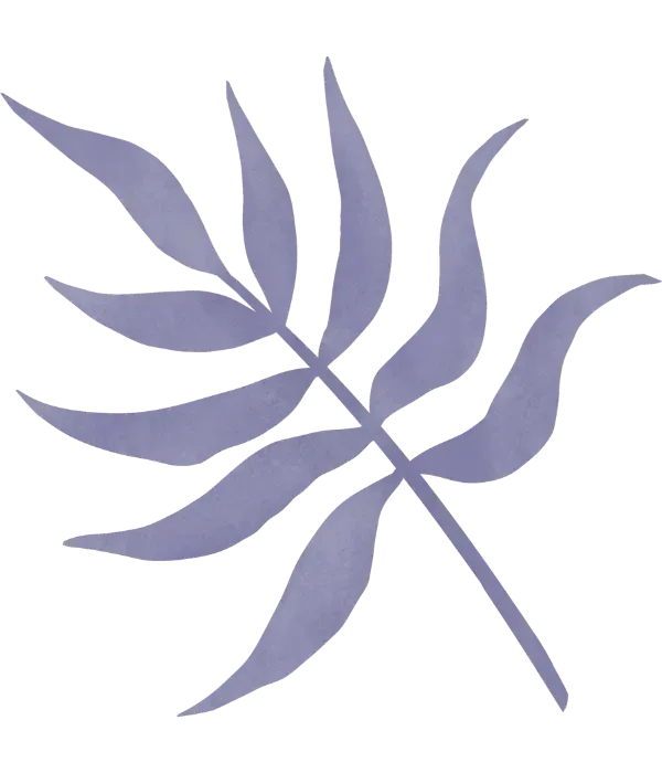 Bare Necessities Spa + MedSpa - Upper Kirby